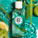 Vétyver Agua Perfumada Bienestar