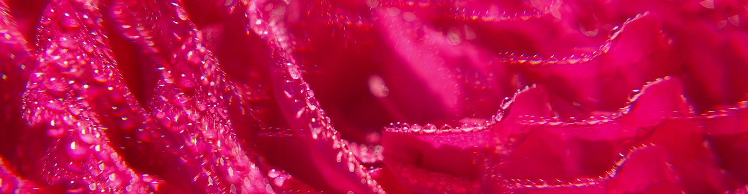 Los Geles de Ducha Bienestar