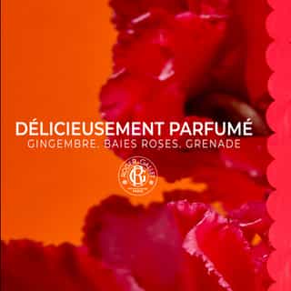 Gingembre Rouge Leche Corporal Bienestar