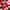 Gingembre Rouge Leche Corporal Bienestar
