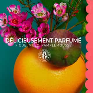 Fleur de Figuier Leche Corporal Bienestar