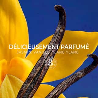 Vanille Soleil Leche Corporal Bienestar