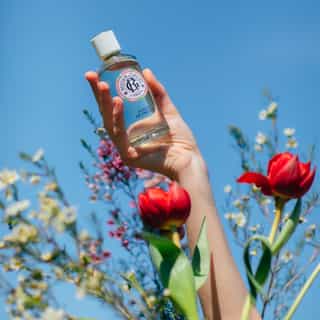 Fleur de Figuier Agua Perfumada Bienestar