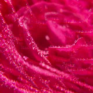 Rose Agua Perfumada Bienestar