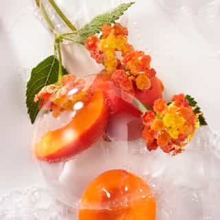 Fleur d'Osmanthus Duo Gel de Ducha Bienestar