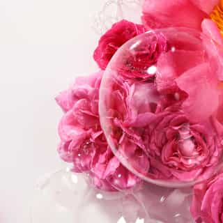 Rose Gel de Ducha Bienestar