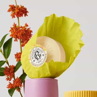 Fleur d'Osmanthus Jabón Redondo Bienestar