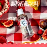 Fleur de Figuier Leche Corporal Bienestar