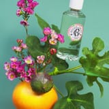 Fleur de Figuier Agua Perfumada Bienestar