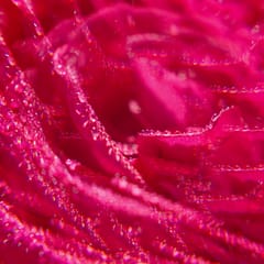 Rose Gel de Ducha Bienestar