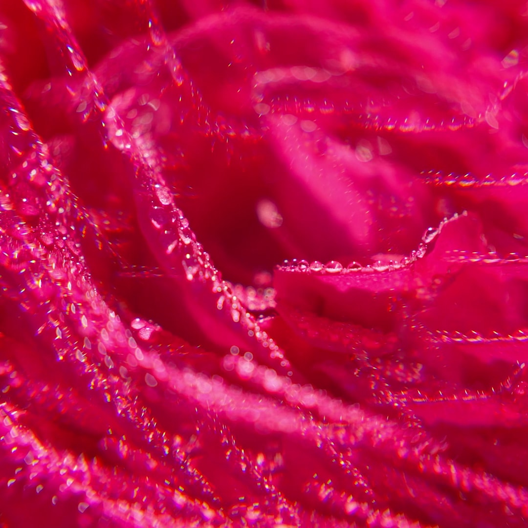 Rose Agua Perfumada Bienestar