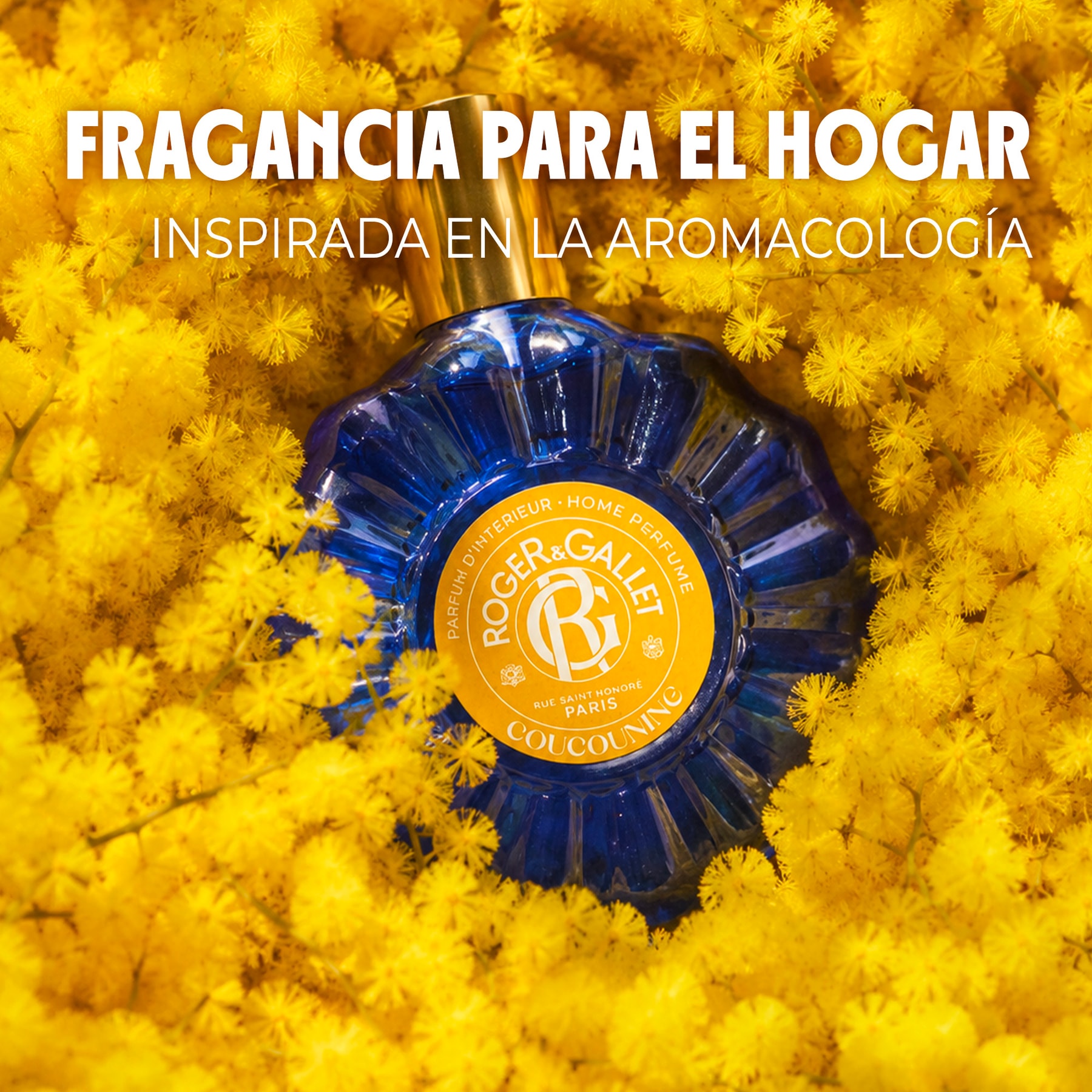 Coucouning Fragancia para interior