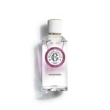 Gingembre Agua Perfumada Bienestar