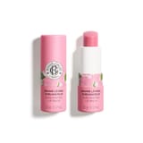 Rose Bálsamo Labial Sublimador