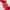 Gingembre Rouge Gel de Ducha Bienestar
