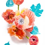 Fleur de Figuier Cofre de Jabones bienestar